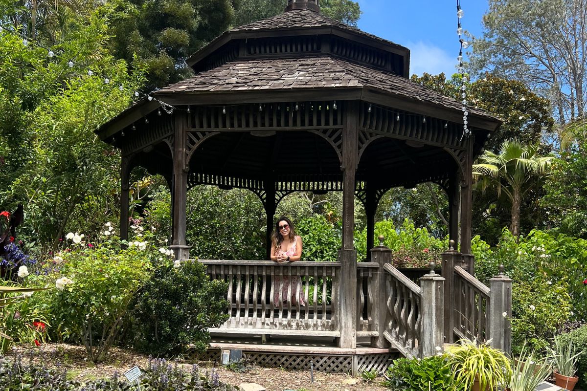 All About Planties Founder in a greenhouse