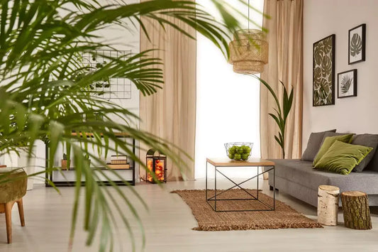 Indoor Plants decor Ideas Apartments in NYC | Houseplants | All About Planties