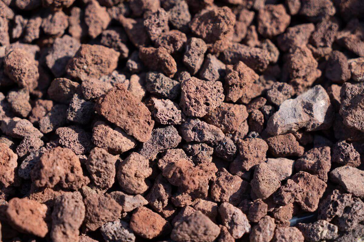 All About Lava Rocks for Houseplants | All About Planties – All About ...