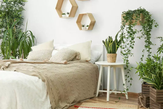 Comfy bedroom decorated with some houseplants around