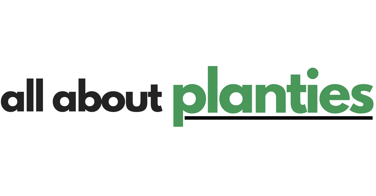 All About Planties | Buy Indoor Plants & Accessories | Plant Care Tips