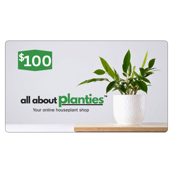 100USD Gift card for 'all about planties' with a potted plant on a white background