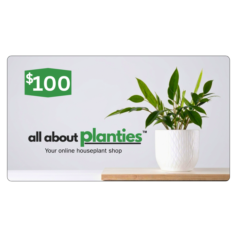 100USD Gift card for 'all about planties' with a potted plant on a white background