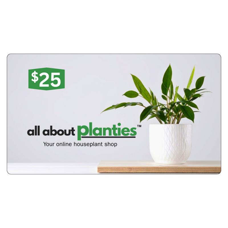 25USD Gift card for 'all about planties' with a potted plant on a white background