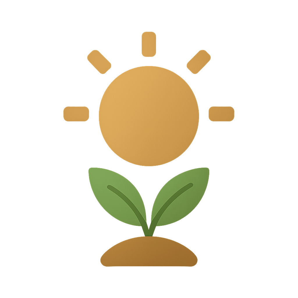 Little Plant with two leaf in medium bright sun | All About Planties