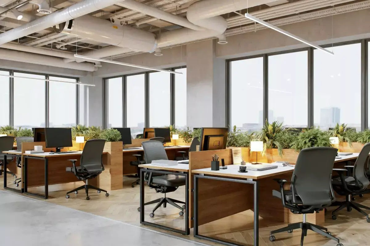 Office with some desks, office chairs and plants | All About Planties