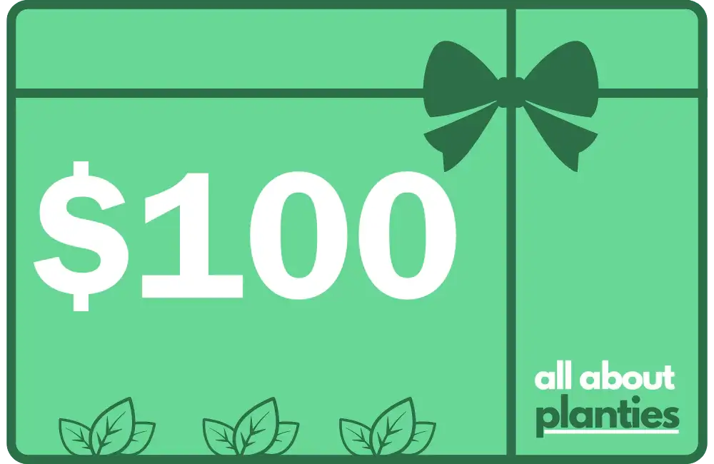 GIFT CARD $100 ALL ABOUT PLANTIES