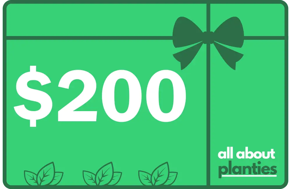 GIFT CARD $200 ALL ABOUT PLANTIES