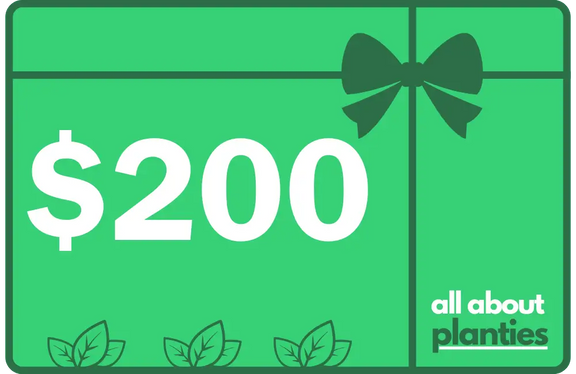 GIFT CARD $200 ALL ABOUT PLANTIES