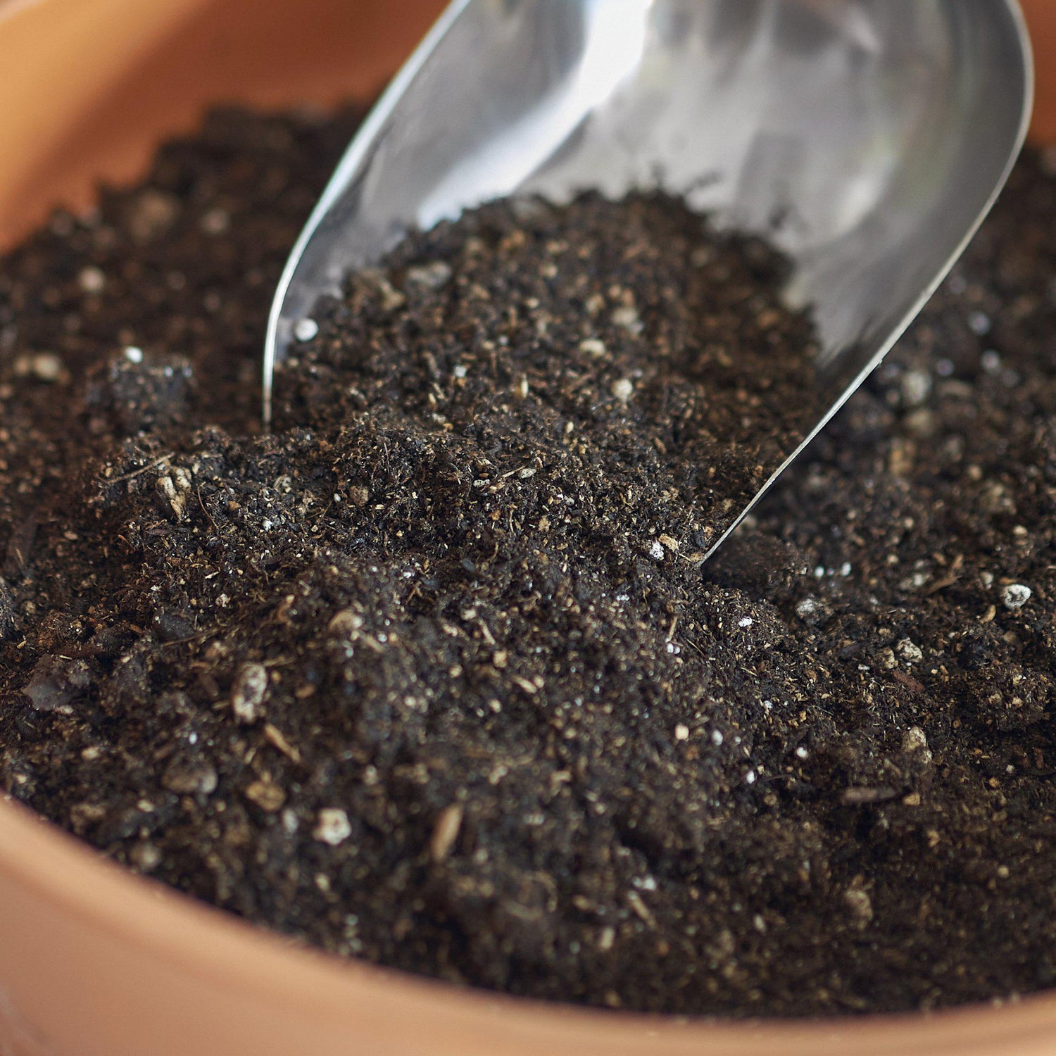 indoor-plant-potting-soil-puck close up