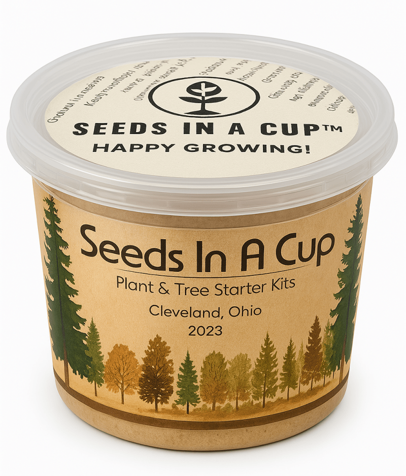 Seeds In A Cup container with tree design and text on a white background