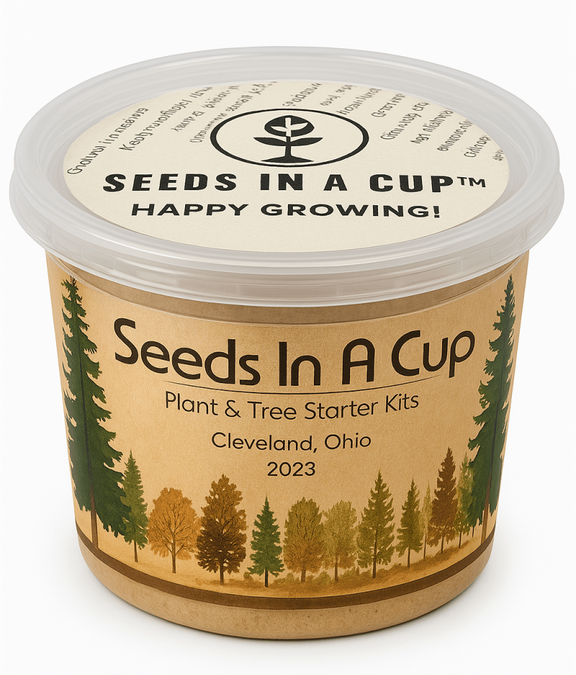 Seeds In A Cup container with tree design and text on a white background
